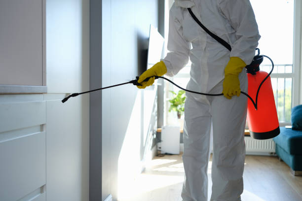 Best Commercial Mold Remediation in Wormleysburg, PA